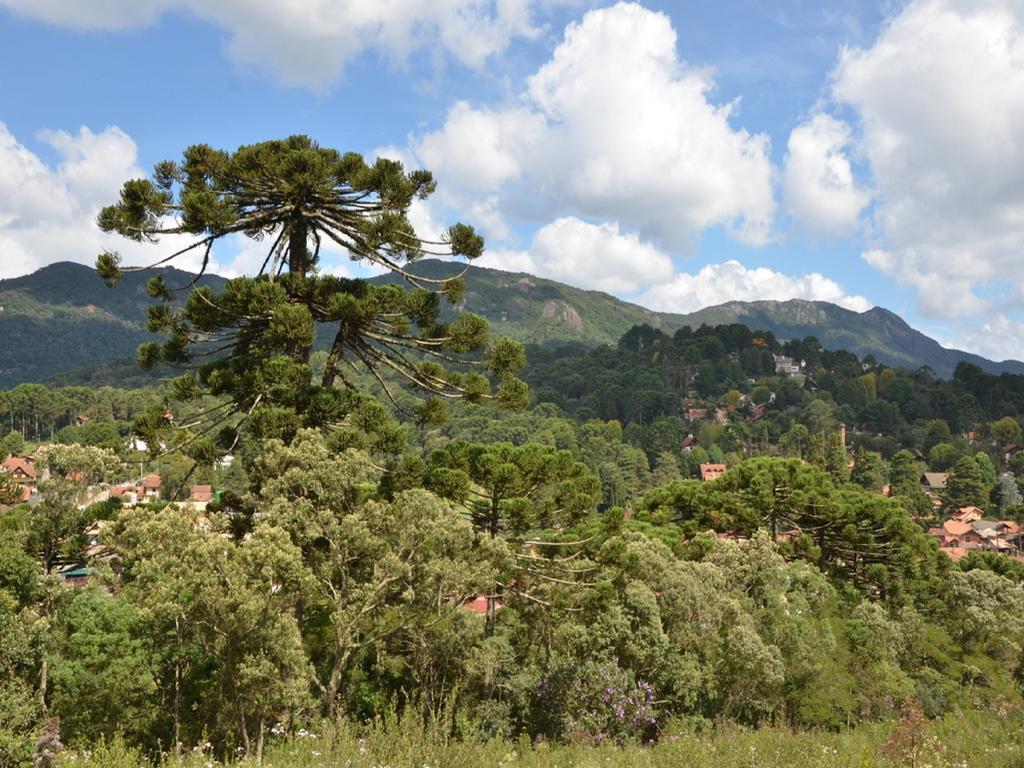 Village 3* Monte Verde (Minas Gerais)